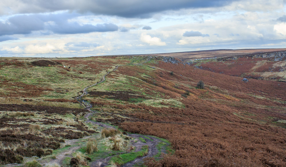 Fiddler's Elbow